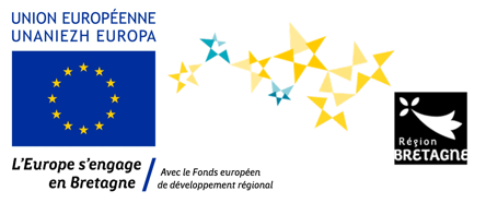 Recherche et Développement AZNETWORK : Logo Feder Europe projet Silver@Home